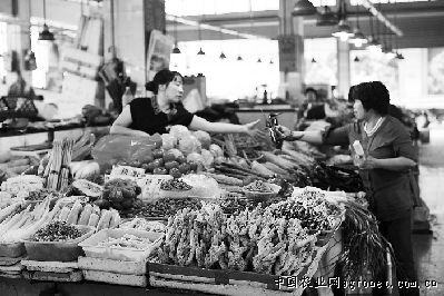 重庆：气温降菜价涨 却不料加了工钱也难找收菜工