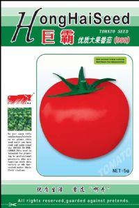 供应巨霸（993）—番茄种子