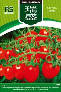 供应瑞盛—番茄种子