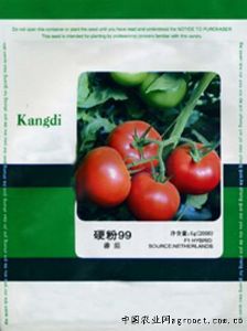 供应硬粉99—番茄种子
