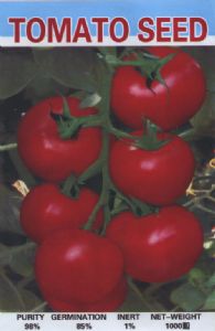 供应美国粉霸三号—番茄种子