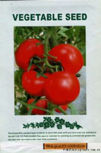 供应奥格迪—番茄种子